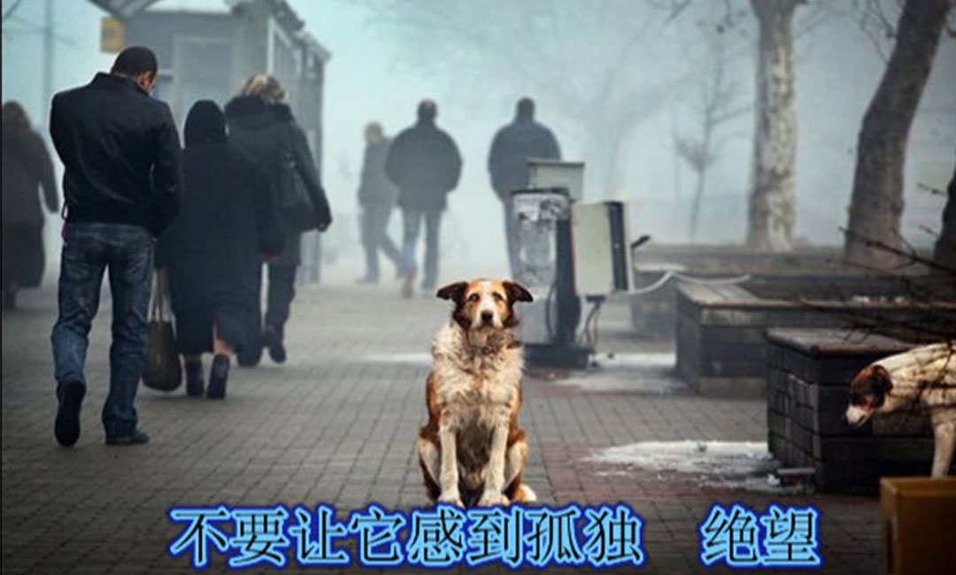 金昌金昌爱影圈微博微信转发案例